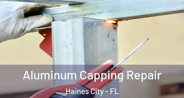 Aluminum Capping Repair Haines City - FL