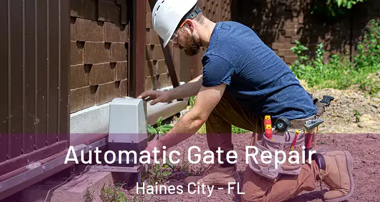 Automatic Gate Repair Haines City - FL
