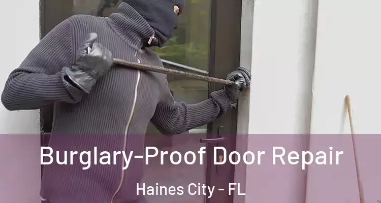 Burglary-Proof Door Repair Haines City - FL