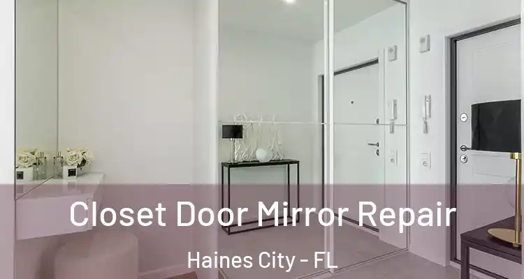Closet Door Mirror Repair Haines City - FL
