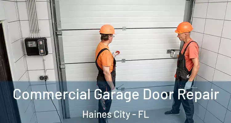 Commercial Garage Door Repair Haines City - FL