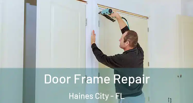 Door Frame Repair Haines City - FL