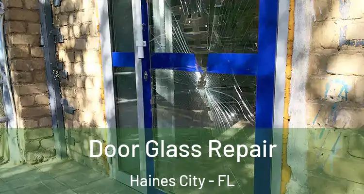 Door Glass Repair Haines City - FL