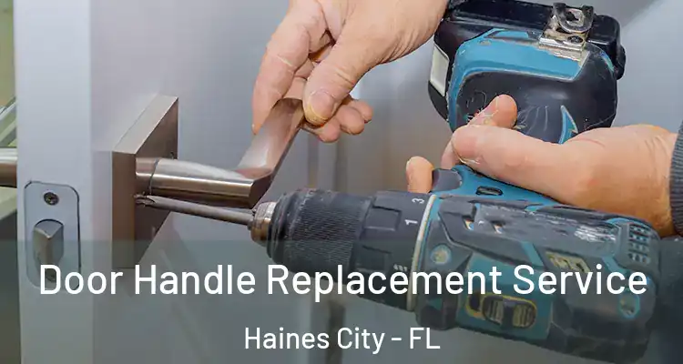Door Handle Replacement Service Haines City - FL