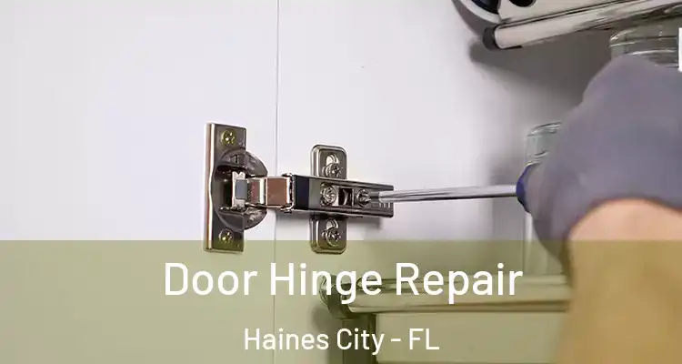 Door Hinge Repair Haines City - FL