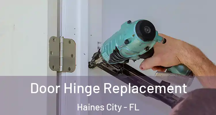 Door Hinge Replacement Haines City - FL