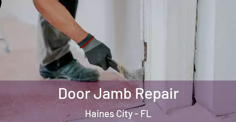 Door Jamb Repair Haines City - FL