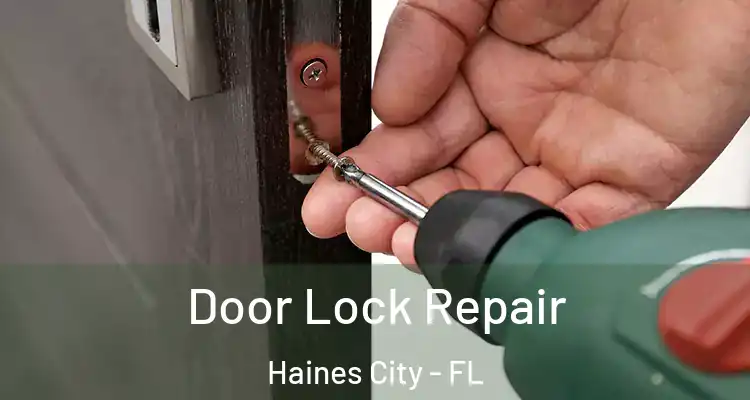 Door Lock Repair Haines City - FL