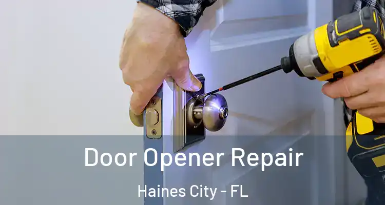 Door Opener Repair Haines City - FL