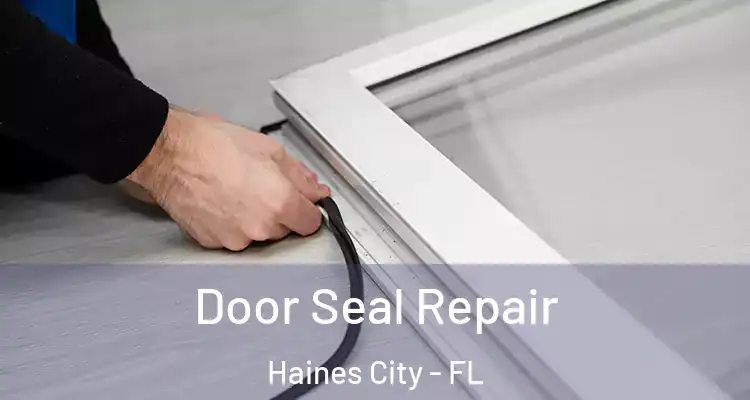 Door Seal Repair Haines City - FL