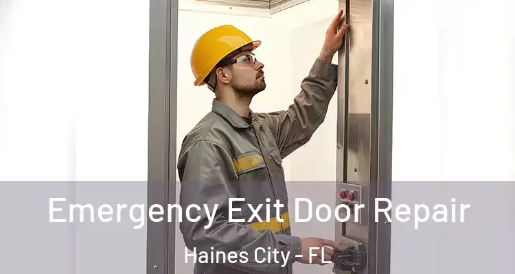 Emergency Exit Door Repair Haines City - FL