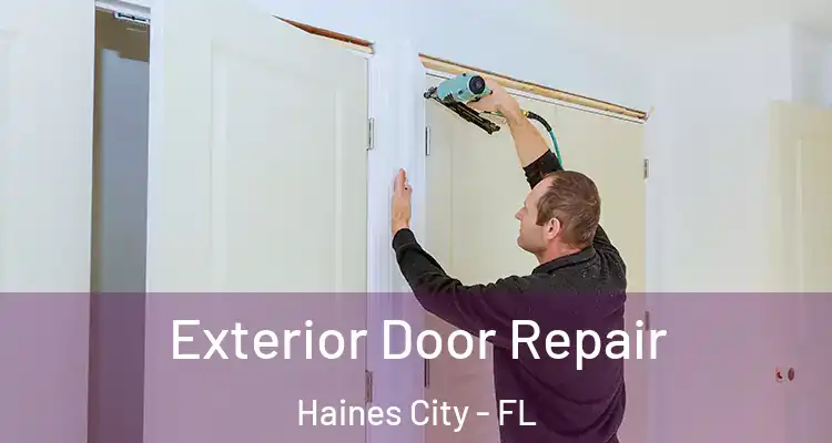 Exterior Door Repair Haines City - FL