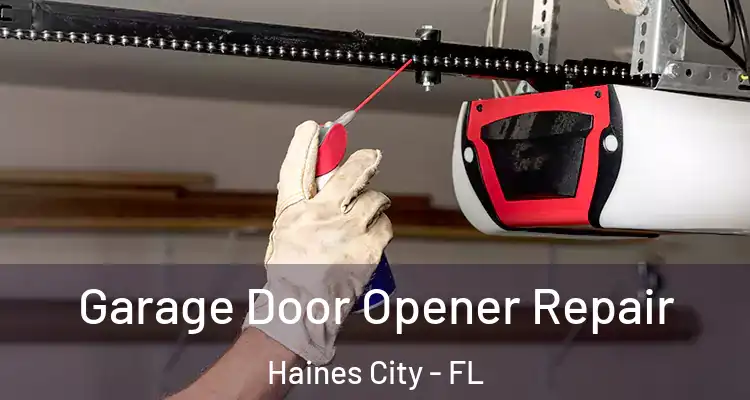 Garage Door Opener Repair Haines City - FL