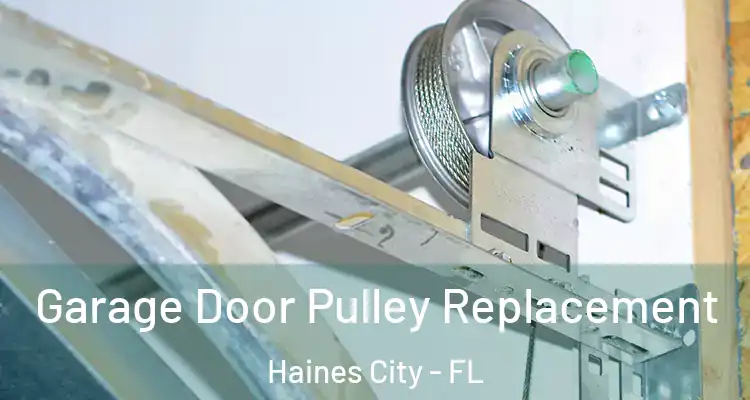 Garage Door Pulley Replacement Haines City - FL