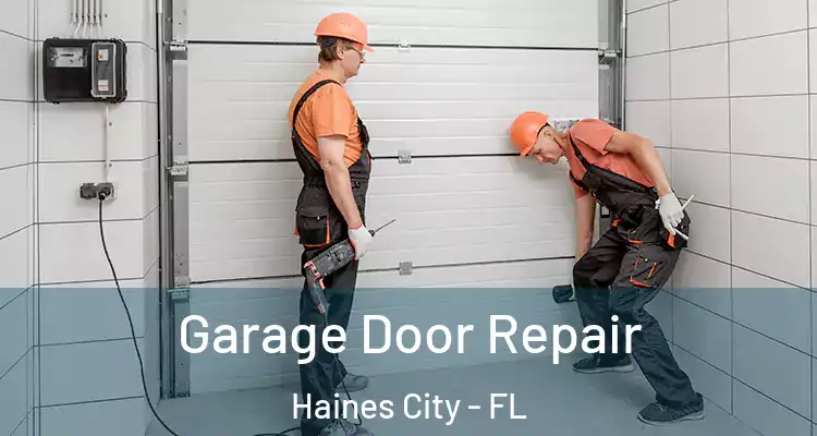 Garage Door Repair Haines City - FL