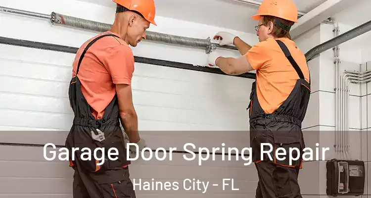 Garage Door Spring Repair Haines City - FL
