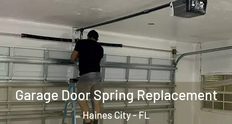 Garage Door Spring Replacement Haines City - FL