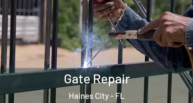Gate Repair Haines City - FL