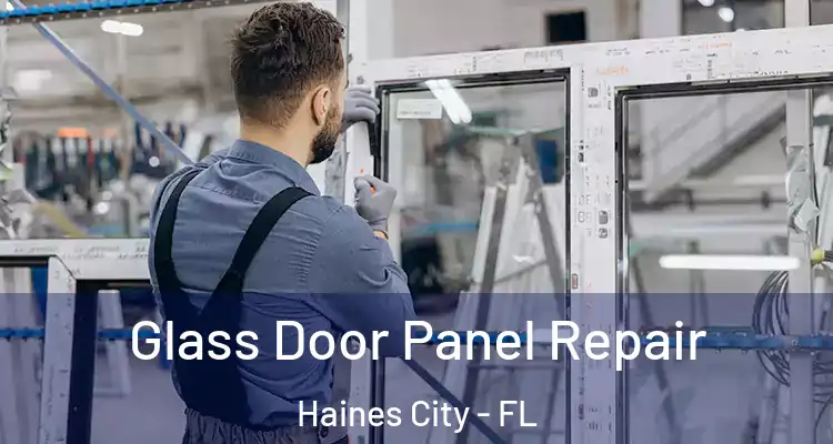 Glass Door Panel Repair Haines City - FL