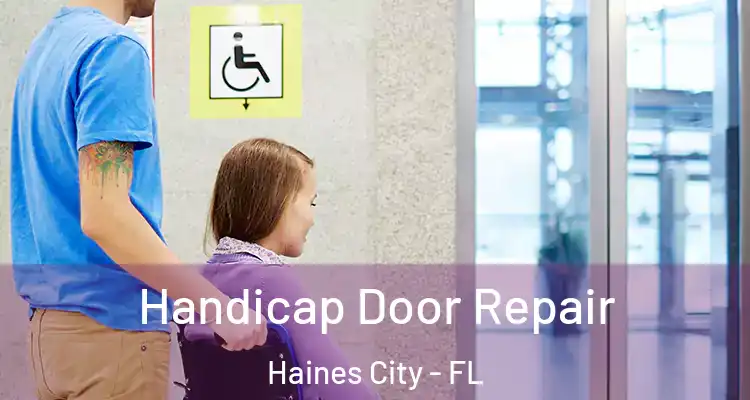 Handicap Door Repair Haines City - FL