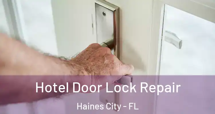 Hotel Door Lock Repair Haines City - FL