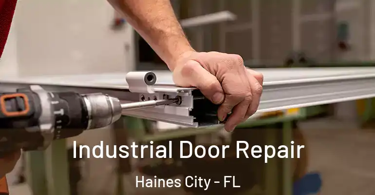 Industrial Door Repair Haines City - FL