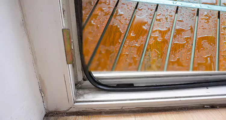 Water Leaking Wooden Patio Doors Repair in Haines City, FL