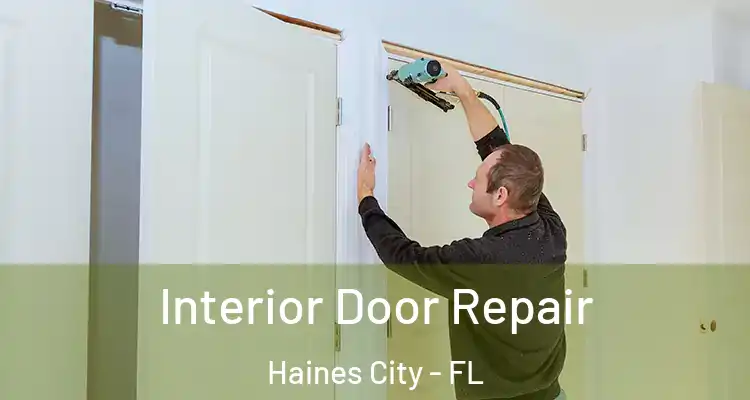 Interior Door Repair Haines City - FL