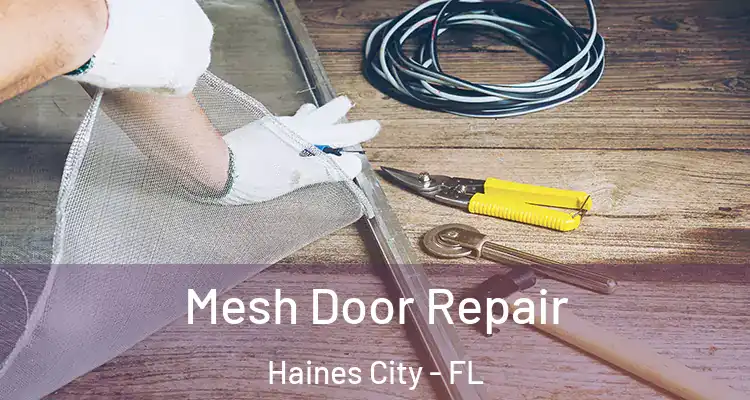 Mesh Door Repair Haines City - FL