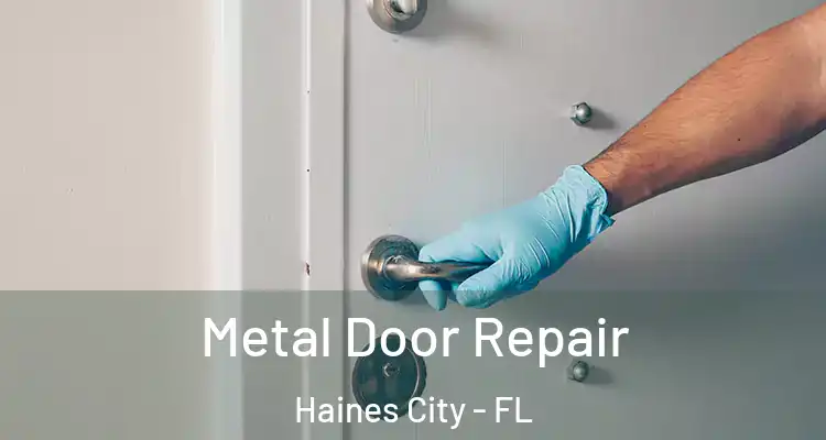 Metal Door Repair Haines City - FL