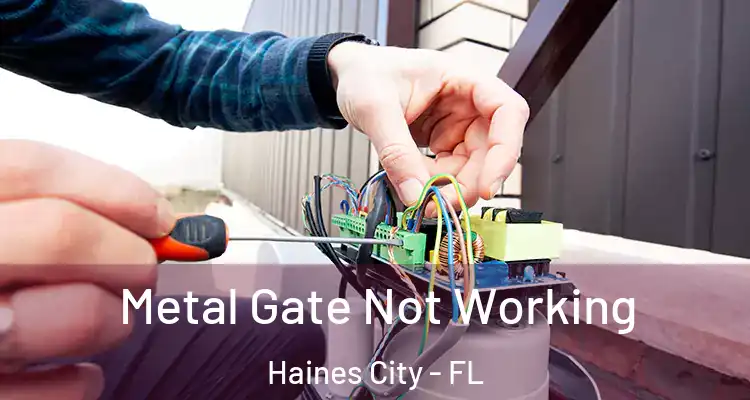Metal Gate Not Working Haines City - FL