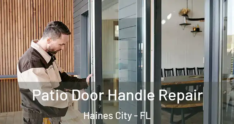 Patio Door Handle Repair Haines City - FL
