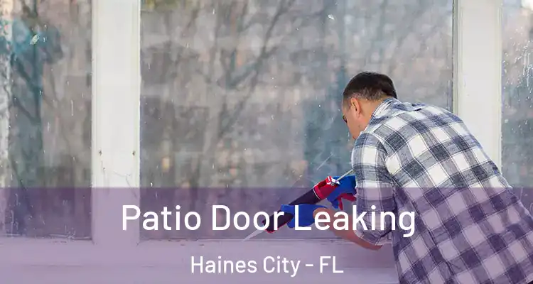 Patio Door Leaking Haines City - FL