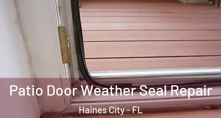 Patio Door Weather Seal Repair Haines City - FL