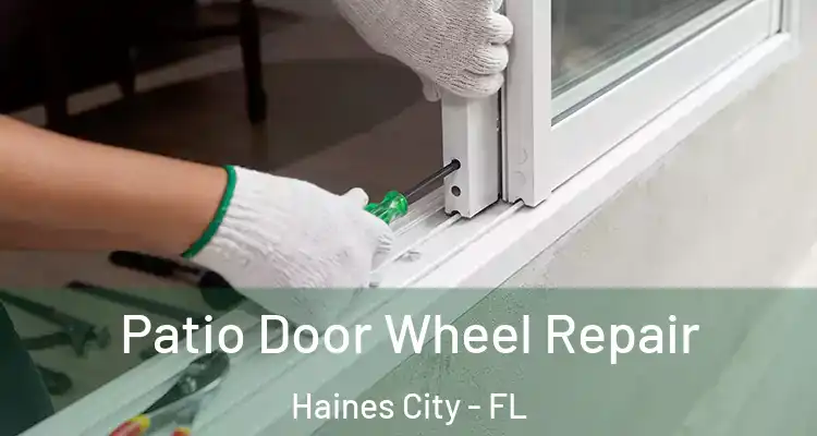 Patio Door Wheel Repair Haines City - FL