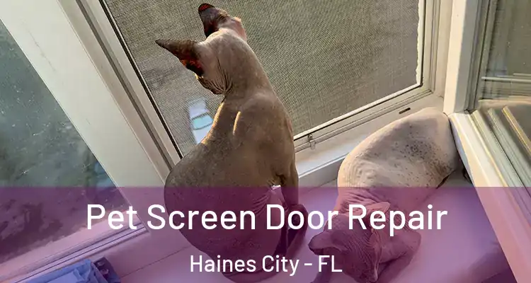 Pet Screen Door Repair Haines City - FL