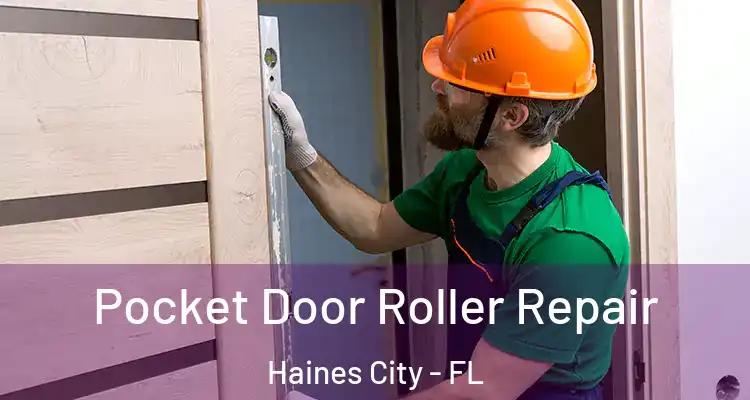 Pocket Door Roller Repair Haines City - FL