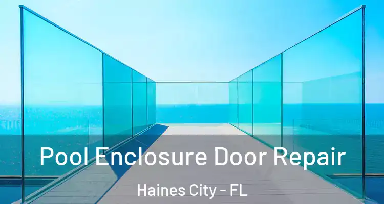 Pool Enclosure Door Repair Haines City - FL