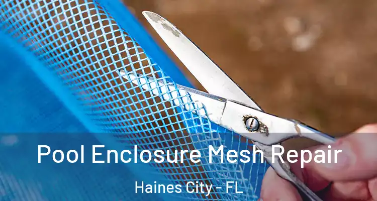 Pool Enclosure Mesh Repair Haines City - FL