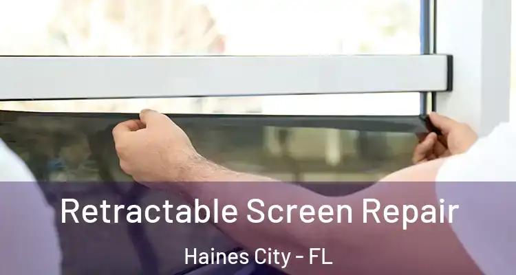 Retractable Screen Repair Haines City - FL