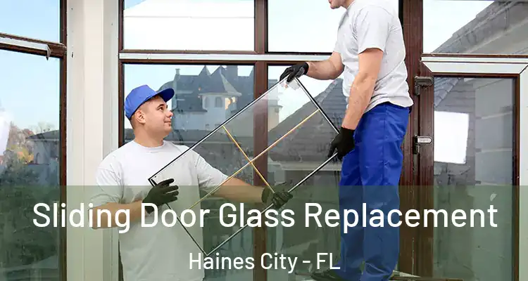 Sliding Door Glass Replacement Haines City - FL