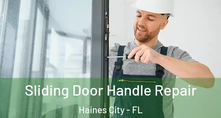 Sliding Door Handle Repair Haines City - FL