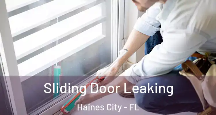 Sliding Door Leaking Haines City - FL
