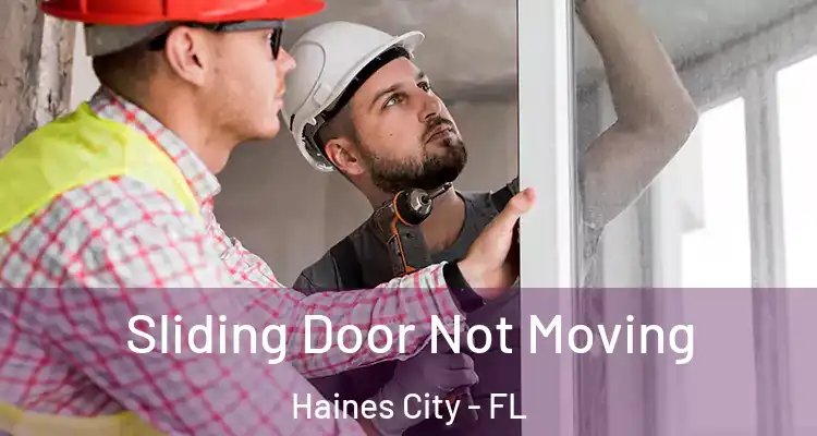 Sliding Door Not Moving Haines City - FL