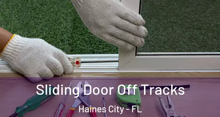 Sliding Door Off Tracks Haines City - FL