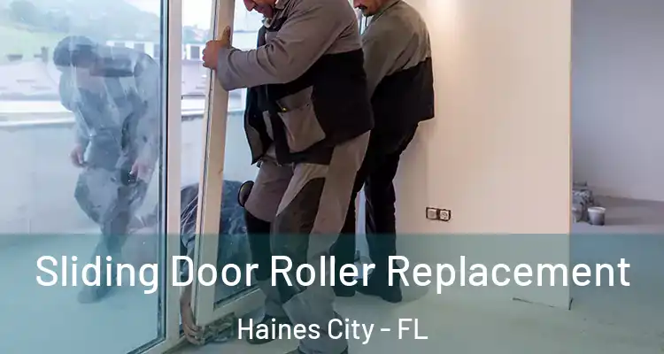Sliding Door Roller Replacement Haines City - FL