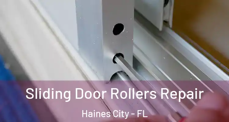 Sliding Door Rollers Repair Haines City - FL