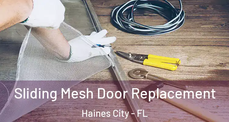 Sliding Mesh Door Replacement Haines City - FL