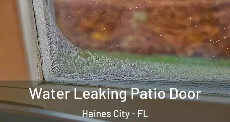 Water Leaking Patio Door Haines City - FL