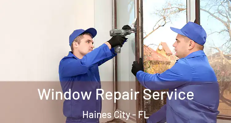 Window Repair Service Haines City - FL